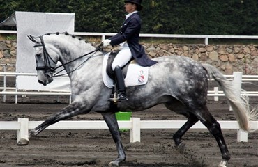 Danske heste til Pan American Games