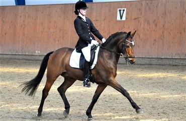 Ponytr&aelig;ningssamling i Middelfart