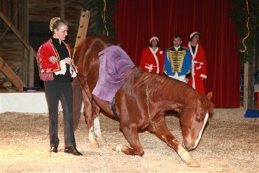 Katja Schumann er tilbage i Rolds cirkusmanege!