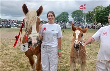 Har tinkeren sin egen fanklub i Roskilde?