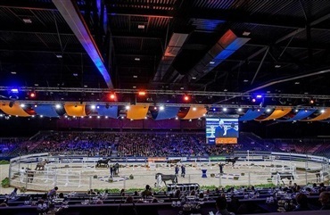 I alt udtaget 84 KWPN-dressurhingste