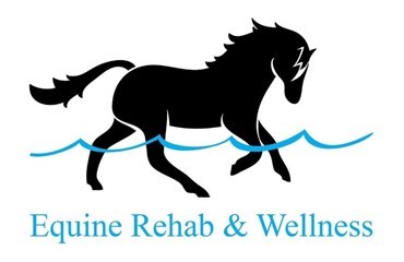 &Aring;bent hus hos Equine Rehab & Wellness