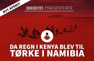 Ny podcast: Da regn i Kenya blev til t&oslash;rke i Namibia