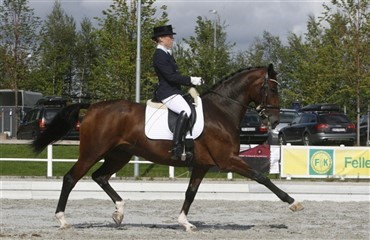 Gode danske heste under Norsk Breeders Trophy