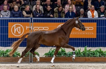 Fem pr&aelig;miehingste f&oslash;rste dag