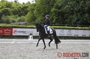 St&aelig;rke pr&aelig;stationer ved championatet hos SAO