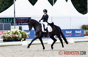 UVM-deltager solgt til tysk youngrider