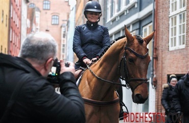 (Video) TV2 fik hest i studiet