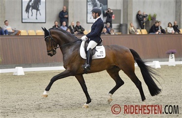 Dansk Grand Prix-hest til Brasilien