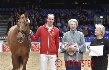 Hestens v&aelig;rns m&oslash;nstringsmedalje 2015