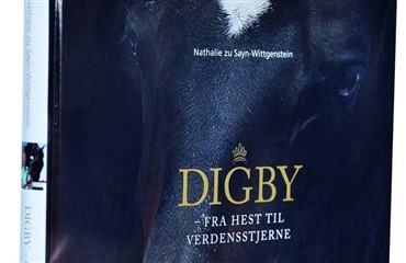 Digby – Fra hest til verdensstjerne