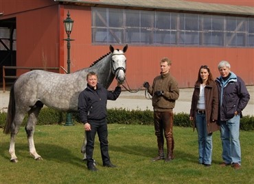 Schockemöhle hingst til Danmark