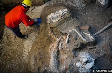 Velplejet Pompeii-hest udgravet med sadel og trense