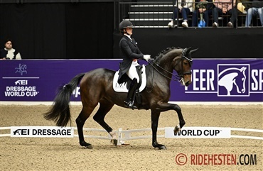 Internationale starter - uge 42