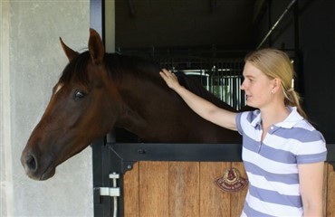 Nicole fandt sin nye hest p&aring; Horse2you