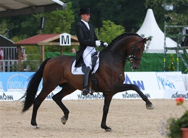 Grand Prix for unge heste i Lingen