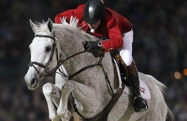 DV-hesten Chianto i ny sejr