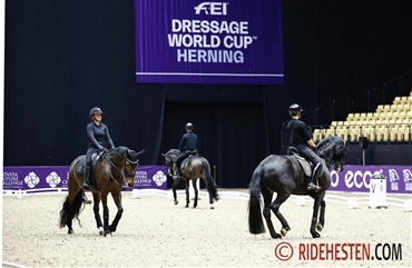 Dressurhestene melder klar i Herning