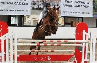 Firkl&oslash;verets afholder for&aring;rets sidste springclinic