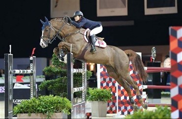 Hong Kong-rytter succesfuld med DV-heste