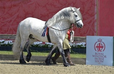 Tid for Royal Windsor Horse Show 