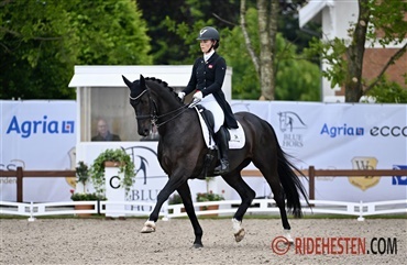 Internationale starter - uge 27