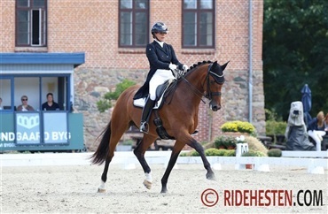 Husk ans&oslash;gningsfrist p&aring; elitehopper