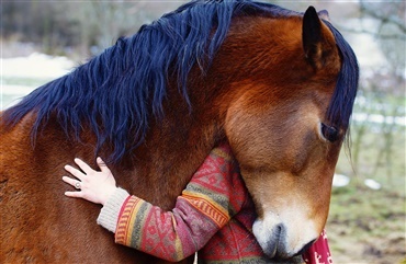 L&aelig;r din hest at give et godt kram