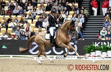 Bachmann h&aring;ber p&aring; VM med Flash