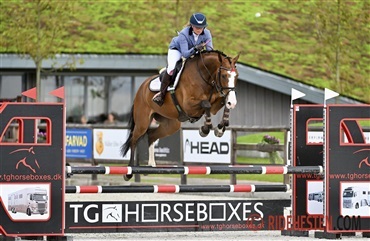 – Hun minder rytteren om at bruge hovedet