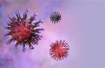 DRF har opdateret Q&A om herpesvirus