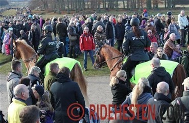 Danmark mister det ridende politi