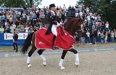 Dressuren begynder i Zwolle