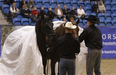 Clinic ved EliteHorsemen Tristan Tucker og Will Roger