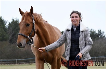 Elizabeth m&oslash;der andre hestefolk via Instagram (video)