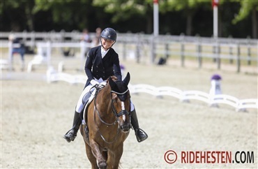 GP-hesten Donnerhall's Son II solgt til England