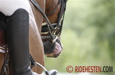 R&aelig;kker din hest tunge?