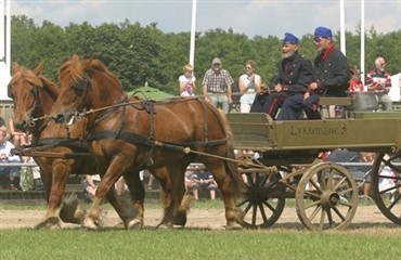 Heste udkonkurrerer skraldebilerne