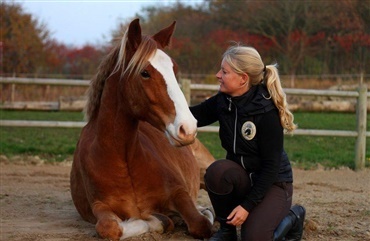 Dyrl&aelig;gen guider: Opdag sp&aelig;ndinger og hj&aelig;lp hesten til smidighed 