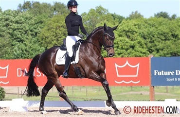 Dommerne ser bred top blandt de 6-&aring;rige