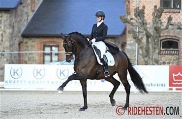 Danske heste har succes i Wellington