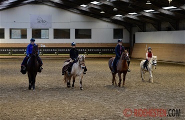 DRF s&oslash;ger deltagere til forskningsprojekt