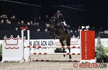 Seks 4-&aring;rige springhingste godkendt