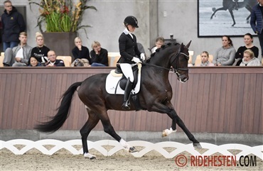 Ingen Louisdor-finale til Got It BB