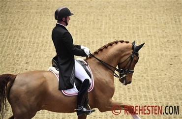Anders Dahl har f&aring;et ny dansk hest