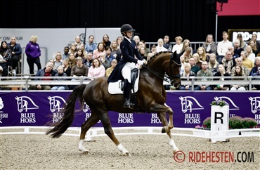 Internationale starter - uge 48