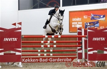 Ungrytterne er klar til finalen