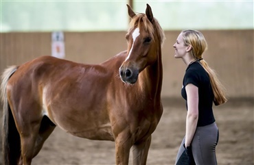 F&aring; styr p&aring; din vrede, n&aring;r du rider