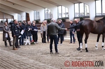 DV-dommere samlet i Randb&oslash;l