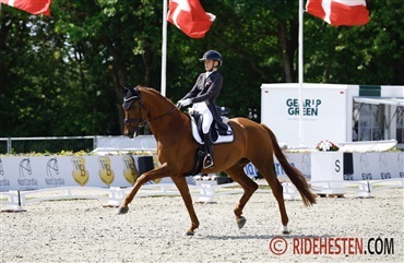 Skovsager-s&oslash;strene dominerer Nordic Rising Stars